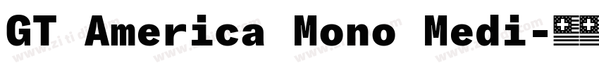 GT America Mono Medi字体转换
